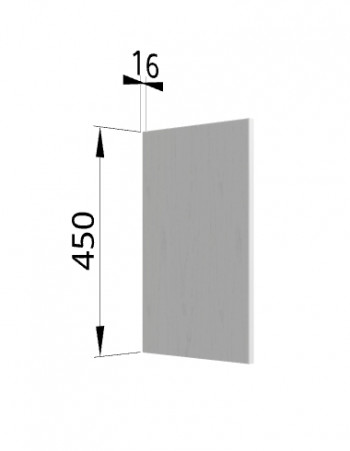 Панель торцевая (для шкафа горизонтального высокого) ВПГ Ройс (Графит софт) в Элитном - ehlitnyj.mebel54.com | фото