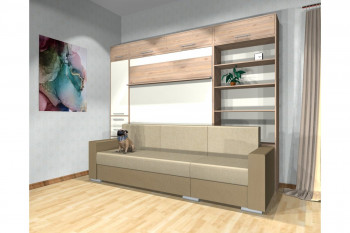 Шкаф-кровать с диваном Каролина в Элитном - ehlitnyj.mebel54.com | фото